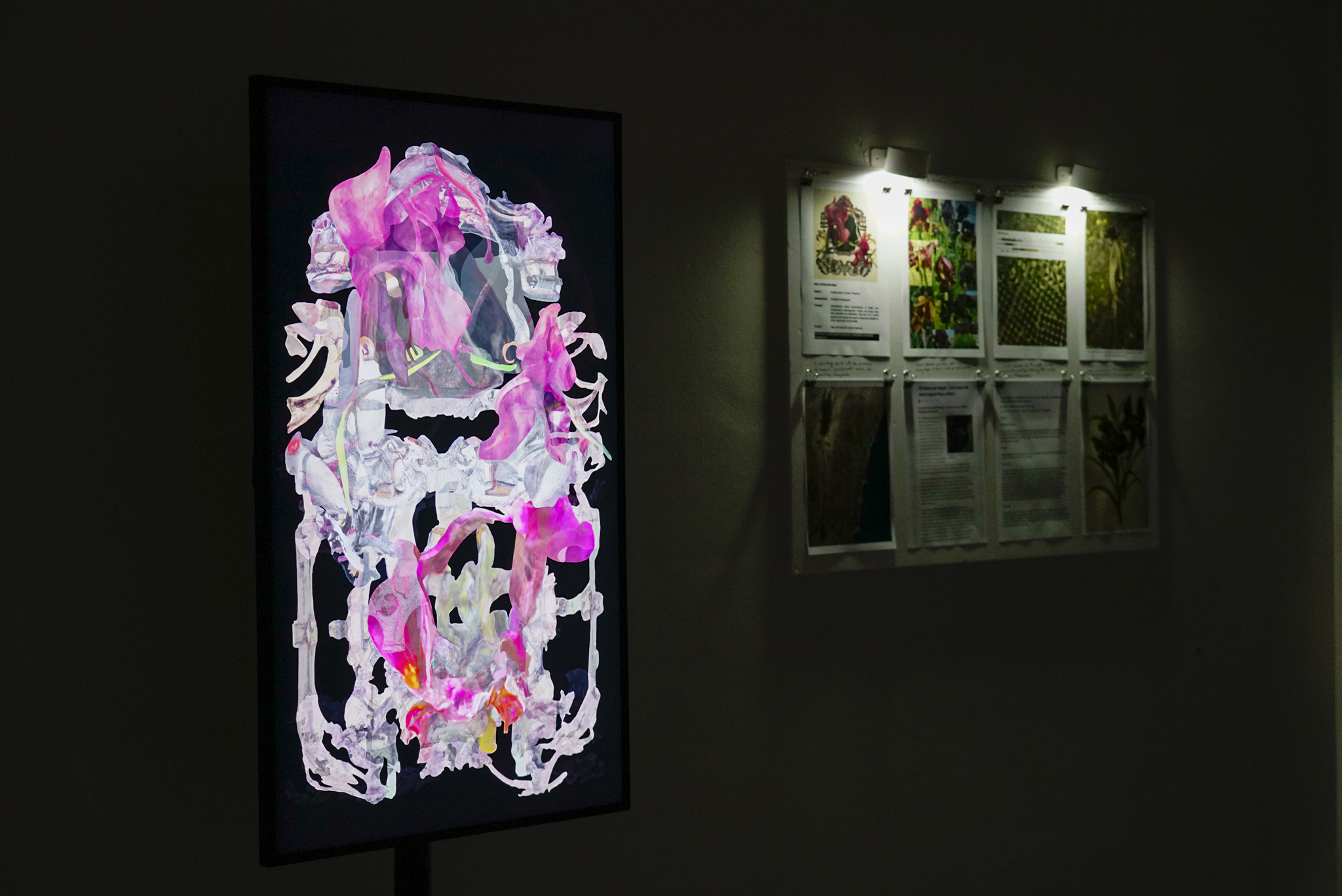 Foto crediti Ambra Parola