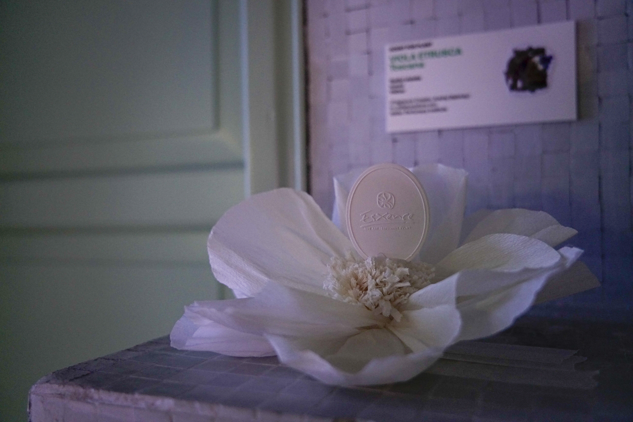 Foto crediti Ambra Parola