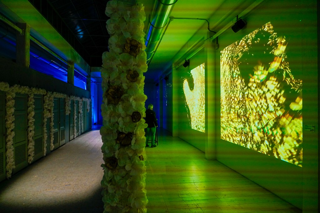 Foto crediti Ambra Parola